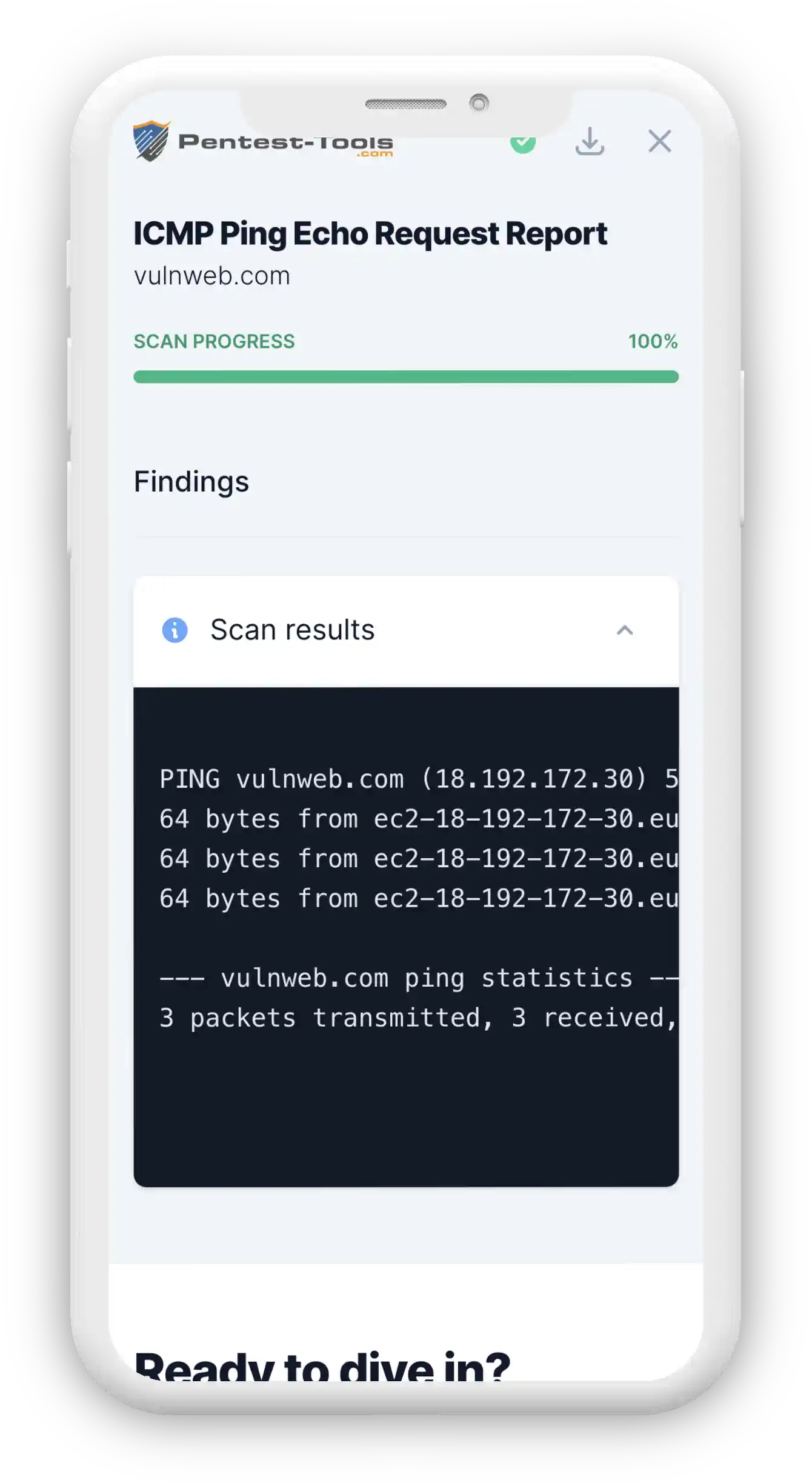 ICMP Ping Report Sample